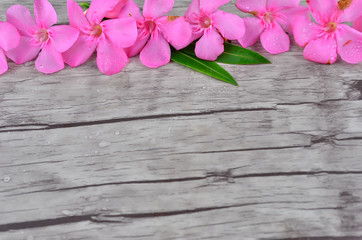 Pink flowers border on wood pattern