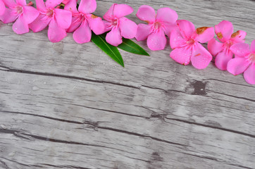Pink flowers border on wood pattern