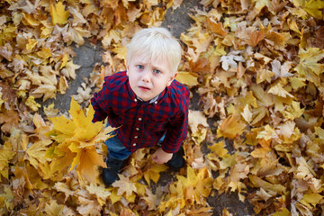 Blond boy with a bouquet of autumn leaves stands and looks up. Top view. Autumn concept