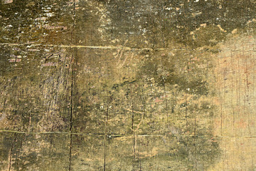 Wood Background Texture