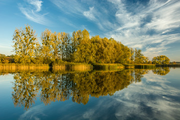 Mirror image of trees in water and clouds on the sky