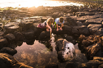 Siblings exploring rock pool at low tide