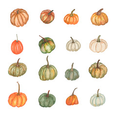 Watercolor set of different pumpkins on white background. Hand drawn. Perfect design for textile, invitations, banners, greeting cards, event projects, posters.