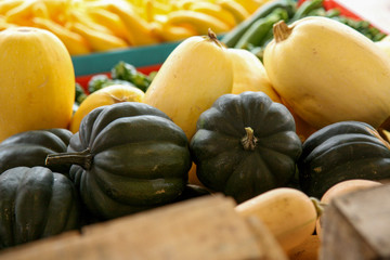 gourds
