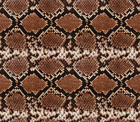 Seamless snake skin pattern design 