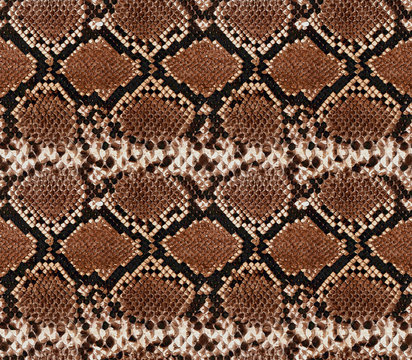 Seamless snake skin pattern design 