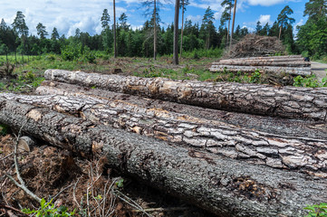 Landscape of deforestation symbols in Lithuania