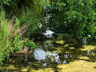 OLYMPUS DIGITAL CAMERA - GOLF CLUB