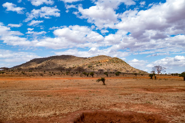Fototapeta na wymiar tsavo nationalpark 