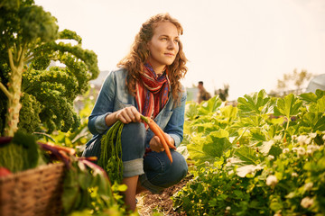 Friendly woman harvesting fresh vegetables from the rooftop greenhouse garden