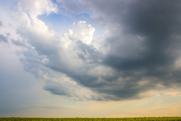 Fototapeta na wymiar rural landscape with clouds over a field of a rape