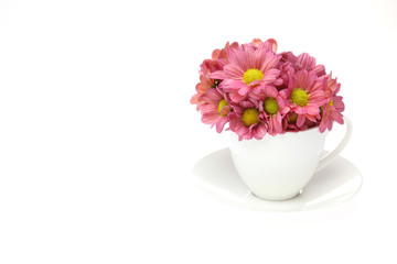 コーヒーカップに挿した菊