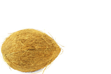 coconut fruit whole in white background
