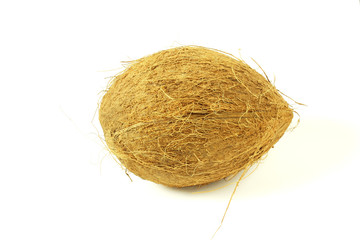 coconut fruit whole in white background