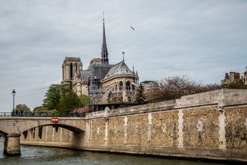 Notre Dame Cathedral and Seine river in Paris, France