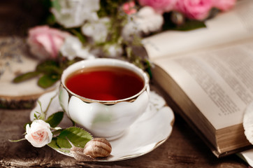 Vintage still life with an old porcelain tea cup, fresh little rose, snail and book.