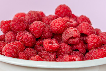 Fresh organic raspberries in a white metal bucket on pink background