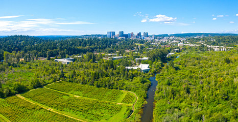 Fototapeta na wymiar Bellevue Washington USA Aerial Landscape Establishing Shot of City From Mercer Slough