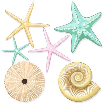 Seashells, starfish, sea urchins retro style vector elements isolated on white 