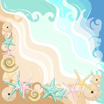 Seashells and starfish Beach Summer Frame Vector Illustration 