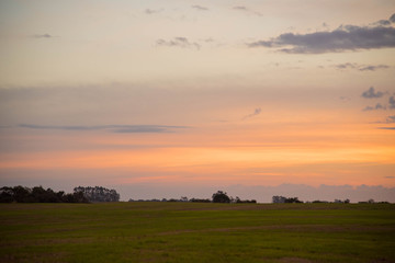 Obraz premium Dusk at the agricultural production farm 03