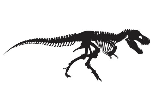 T-rex vector skeleton