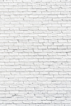 White brick wall with shadows, texture or background