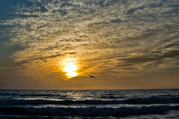 Fototapeta na wymiar Clouds like Feathers at Sunset over Ocean