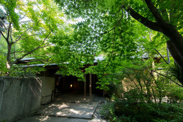 Naklejka premium 神社の参道
