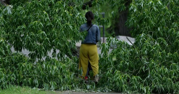 Mother and todder son walking through fallen trees in park - from behind close up
