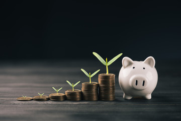 stacking coins with piggy bank.1 dollar coin.money saving concept.