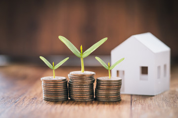 stacking dollars coins tree growing on coins and a house model.save and investment for buy house concept .for the future.