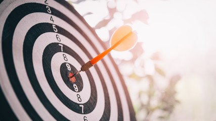 Bullseye is a target of business. Dart is an opportunity and Dartboard is the target and goal. So...