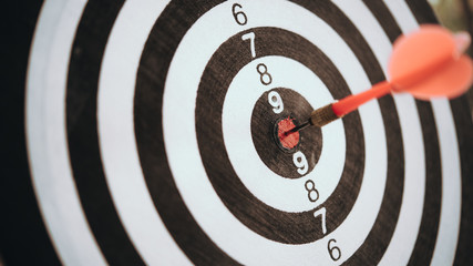 Bullseye is a target of business. Dart is an opportunity and Dartboard is the target and goal. So...