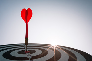 Bullseye is a target of business. Dart is an opportunity and Dartboard is the target and goal. So...