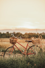 beautiful landscape image with Bicycle at summer grass field.classic bicycle,old bicycle style for...