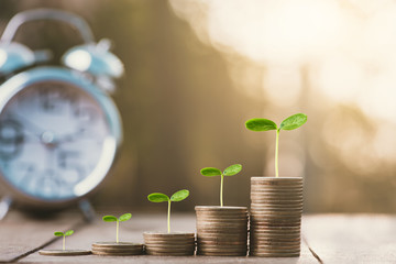 Money coin stack growing graph with sun light bokeh background,investment concept.Business Finance and Save Money concept