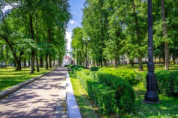 Beautiful alley in a park full of trees in bright summer day in Minsk, Belarus