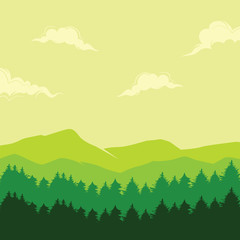 Pine Tree Landscape Pine Forest Landscape for Poster Background