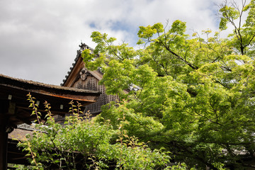 Tenryuzi temple, Arashiyama, Kyoto Japan