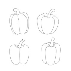Line bell pepper isolated on white background illustration vector
