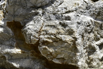 The shape and texture of the stone