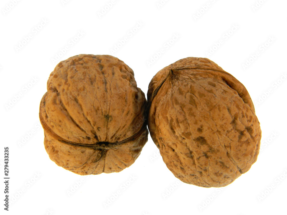 Wall mural walnut isolated on white background