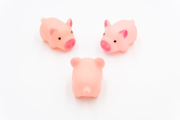 Three cute pink toy pigs whispering top view