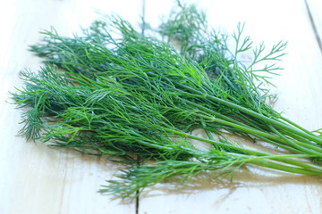 Fresh Dill