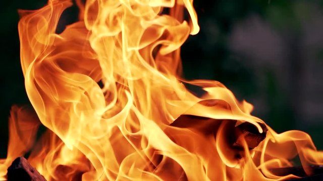 Bright orange flame on blurred background. Vivid flame of firewood burning outdoors. Close-up.