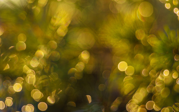 Yellow and green