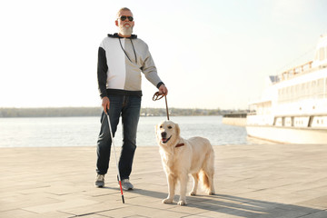 Guide dog helping blind person with long cane walking in city