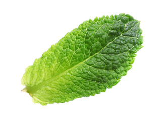Green leaf of fresh aromatic mint isolated on white © New Africa