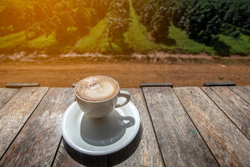 A morning hot coffee cup on the wooden background of coffee plantation.Beautiful view.